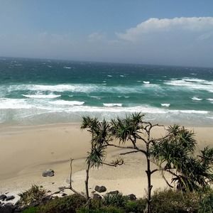 Meet your Posher, Amélieleanne